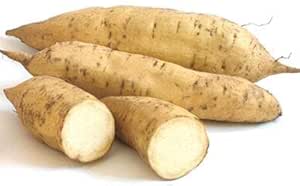 Sweet potato